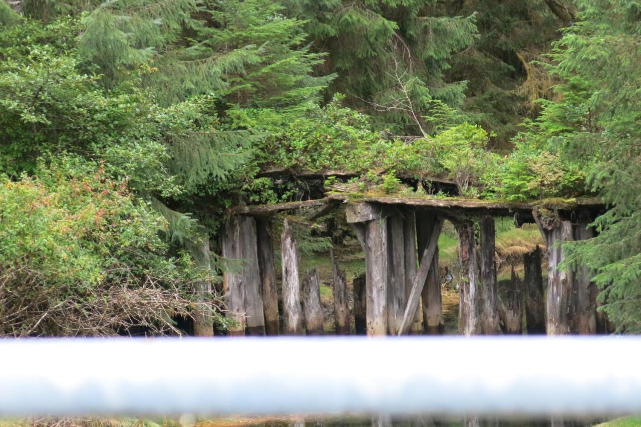 A Shack In The Woods * Port Renfrew