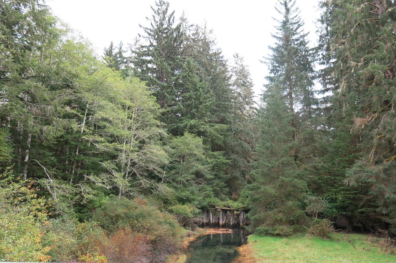 A Shack In The Woods *